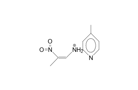 Z-1-(4-Picolin-2-ylamino)-2-nitro propene cation