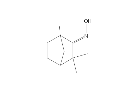 2-NORBORNANONE, 1,3,3-TRIMETHYL-, OXIME, D-,