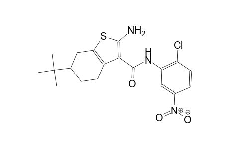 2-amino-6-tert-butyl-N-(2-chloro-5-nitrophenyl)-4,5,6,7-tetrahydro-1-benzothiophene-3-carboxamide