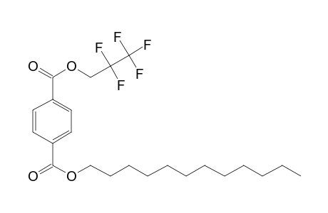 Terephthalic acid, dodecyl 2,2,3,3,3-pentafluoropropyl ester