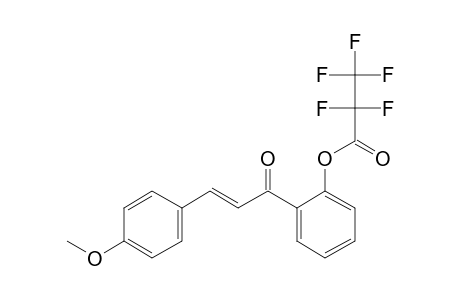 2'-Hydroxy-4-methoxychalcone, pentafluoropropionate