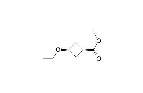 cis-Methyl 3-ethoxycyclobutanecarboxylate