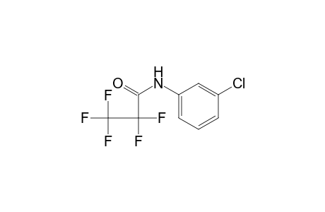 N-(3-chlorophenyl)-2,2,3,3,3-pentafluoro-propanamide
