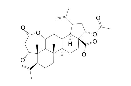 22-ALPHA-ACETOXYCHIISANOGENIN;22-ALPHA-ACETOXY-1(R),11-ALPHA-DIHYDROXY-3,4-SECO-LUPA-4(23),20(29)-DIENE-3,28-DIOIC-ACID