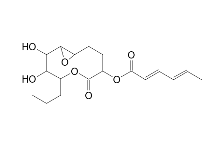 5,6-EPOXY-PINOLIDOXIN;2-(2,4-HEXADIENOYLOXY)-5,6-EPOXY-7,8-DIHYDROXY-9-PROPYLNONAN-9-OLIDE