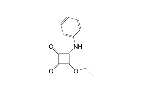 3-cyclobutene-1,2-dione, 3-ethoxy-4-(phenylamino)-