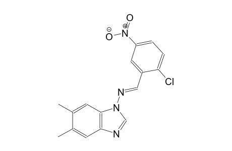 N-[(E)-(2-chloro-5-nitrophenyl)methylidene]-5,6-dimethyl-1H-benzimidazol-1-amine