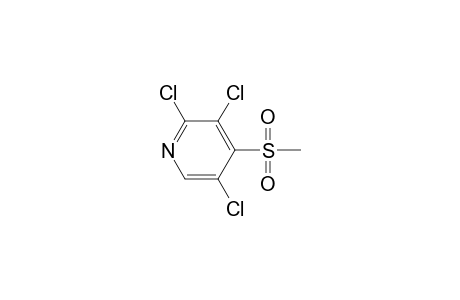 Pyridine, 2,3,5-trichloro-4-(methylsulfonyl)-