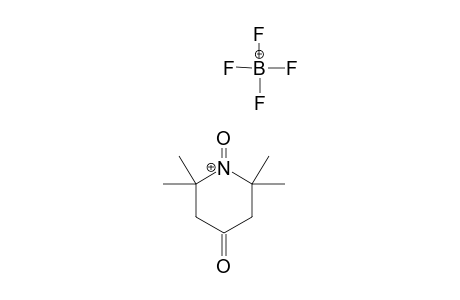 2,2,6,6-TETRAMETHYL-1,4-DIOXO-PIPERIDINIUM_TETRAFLUOROBORATE