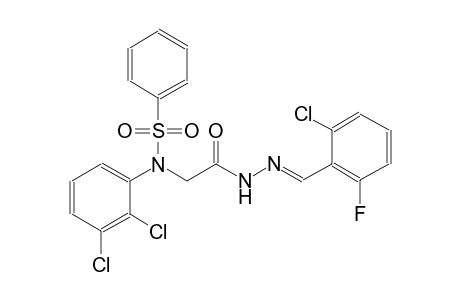 N-{2-[(2E)-2-(2-chloro-6-fluorobenzylidene)hydrazino]-2-oxoethyl}-N-(2,3-dichlorophenyl)benzenesulfonamide