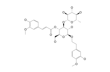 MARTYNOSIDE;3-HYDROXY-4-METHOXYPHENETHYLOXY-BETA-D-(3'-O-ALPHA-L-RHAMNOPYRANOSYL-4'-O-FERULOYL)-GLUCOPYRANOSIDE