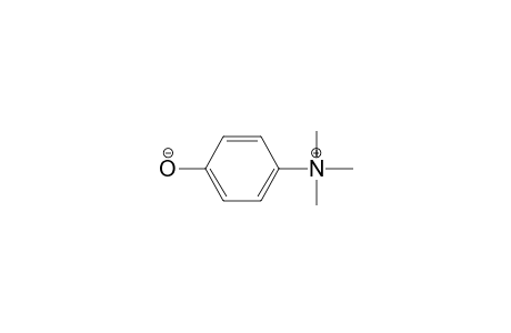 Ammonium, (p-hydroxyphenyl)trimethyl-, hydroxide, inner salt