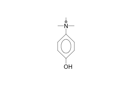 N,N,N-Trimethyl-4-hydroxy-anilinium cation