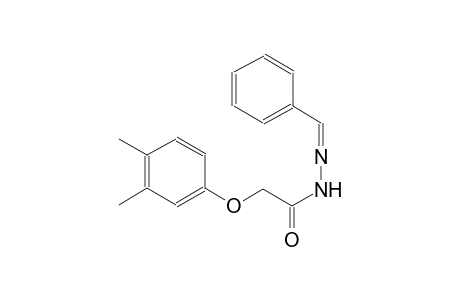 acetic acid, (3,4-dimethylphenoxy)-, 2-(phenylmethylene)hydrazide