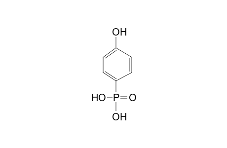 Phosphonic acid, (p-hydroxyphenyl)-