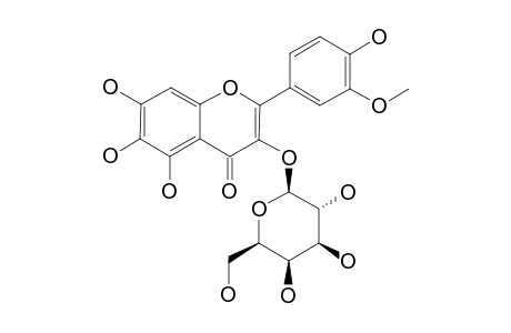 3'-METHYLQUERCETAGETIN_3-O-GALACTOSIDE