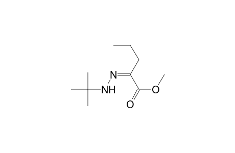Pentanoic acid, 2-[(1,1-dimethylethyl)hydrazono]-, methyl ester