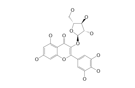 MYRICETIN-3-O-ALPHA-ARABINOFURANOSIDE