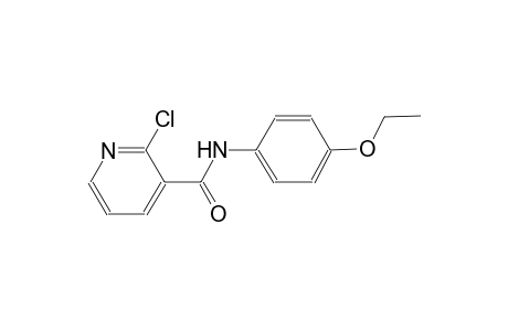 2-chloro-N-(4-ethoxyphenyl)nicotinamide
