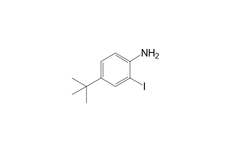 (4-tert-butyl-2-iodo-phenyl)amine