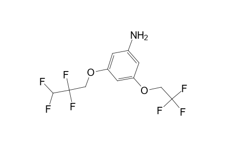 Benzenamine, 3-(2,2,2-trifluoroethoxy)-5-(2,2,3,3-tetrafluoropropoxy)-