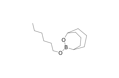 9-hexoxy-10-oxa-9-borabicyclo[3.3.2]decane