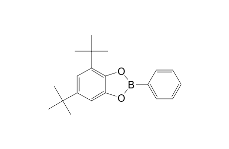 1,3,2-Benzodioxaborole, 4,6-bis(1,1-dimethylethyl)-2-phenyl-
