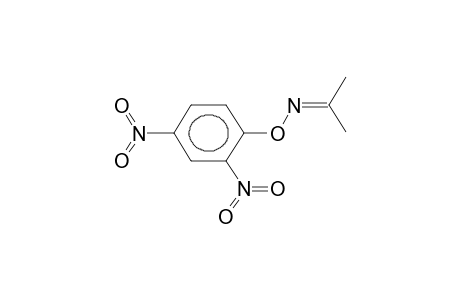 O-(2,4-DINITROPHENYL)ACETONOXIME