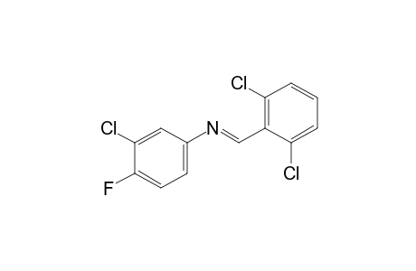 3-chloro-N-(2,6-dichlorobenzylidene)-4-fluoroaniline