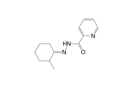 N'-[(1E)-2-methylcyclohexylidene]-2-pyridinecarbohydrazide