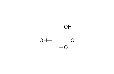 2-Methyl-2,3,4-trihydroxy-butanoic acid, 1,4-lactone