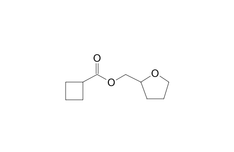 Cyclobutanecarboxylic acid, 2-tetrahydrofurylmethyl ester