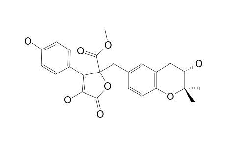 BUTYROLACTONE_V