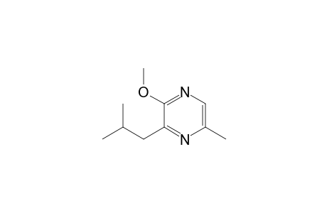 2-Methoxy-5-methyl-3-(2-methylpropyl)pyrazine