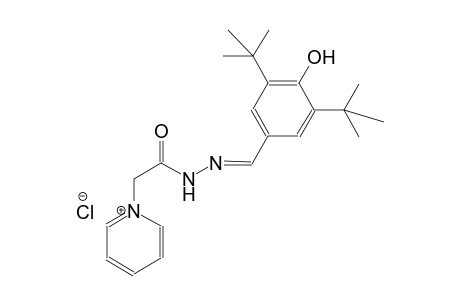 pyridinium, 1-[2-[(2E)-2-[[3,5-bis(1,1-dimethylethyl)-4-hydroxyphenyl]methylene]hydrazino]-2-oxoethyl]-, chloride