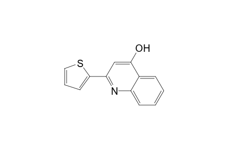 2-(2-Thienyl)-1H-quinolin-4-one