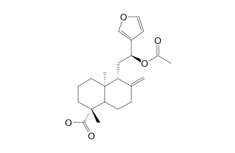 15,16-EPOXY-12-(R)-ACETOXY-8(17),13(16),14-ENT-LABDATRIEN-19-OIC-ACID