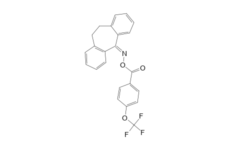 O-(4-TRIFLUOROMETHOXY-BENZOYL)-5-OXIMINO-10,11-DIHYDRO-5H-DIBENZO-[A,D]-CYCLOHEPTENE