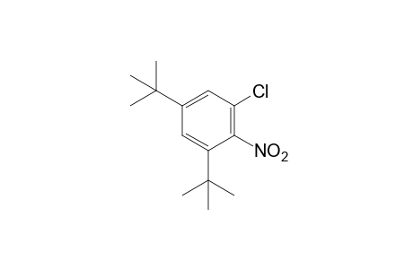 1-chloro-3,5-di-tert-butyl-2-nitrobenzene