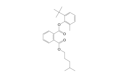 Phthalic acid, isohexyl 2-tert-butyl-6-methylphenyl ester