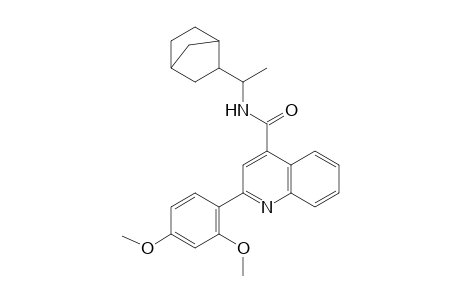 2-(2,4-dimethoxyphenyl)-N-(1-norbornan-2-ylethyl)quinoline-4-carboxamide