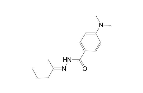4-(dimethylamino)-N'-[(E)-1-methylbutylidene]benzohydrazide