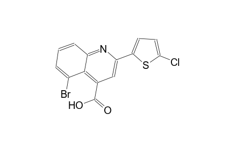 5-bromo-2-(5-chloro-2-thienyl)-4-quinolinecarboxylic acid