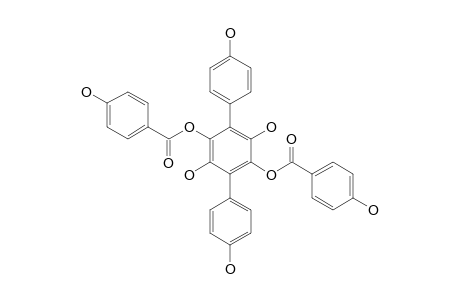 THELEPHANTIN-G