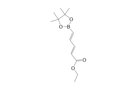 ETHYL-5-(4,4,5,5-TETRAMETHYL-1,3,2-DIOXABOROLAN-2-YL)-PENTA-2,4-DIENOATE