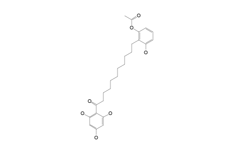 ARDISINONE-A;11-(2-ACETOXY-6-HYDROXYPHENYL)-1-(2,4,6-TRIHYDROXYPHENYL)-UNDECAN-1-ONE