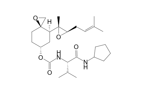 [(3R,4S,6R)-4-[(2R,3R)-2-methyl-3-(3-methylbut-2-enyl)oxiran-2-yl]-1-oxaspiro[2.5]octan-6-yl] N-[(1S)-1-(cyclopentylcarbamoyl)-2-methyl-propyl]carbamate