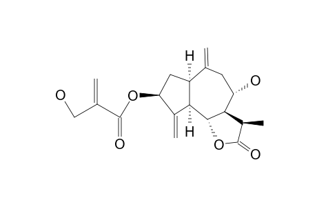ZALUZANIN C,11-A,13-DIHYDRO-3-B-(2'-HYDROXYMETHACRYLOYLOXY)