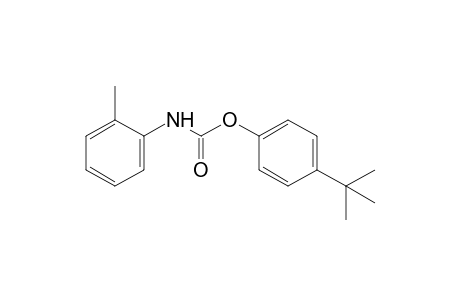 o-methylcarbanilic acid, p-tert-butylphenyl ester