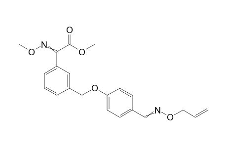 Benzeneacetic acid, alpha-(methoxyimino)-3-[[4-[[(2-propenyloxy)imino]methyl]phenoxy]methyl]-, methyl ester